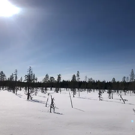 Villa Aspen * Pudasjarvi