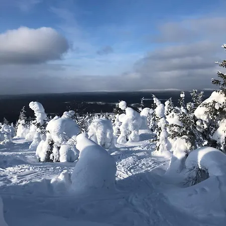 Villa Aspen Сasa de vacaciones Pudasjarvi